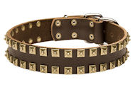 Studded Collar of Leather Wide buy